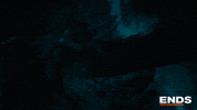 Fight Ends GIF by Halloween