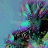 Installation Art Rainbow GIF by Mollie_serena