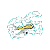 Aim High Genius Sticker by OfficialGenius