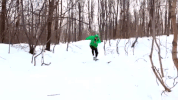GIF by Webs & Tiaras