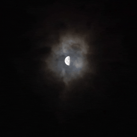 Light Of The World GIF