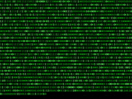 Coding Zero One GIF by Squirrel Monkey