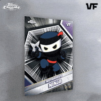 Ninja Collect GIF by VeeFriends