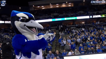 bluejays GIF by Creighton University Athletics