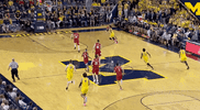 GIF by Michigan Athletics