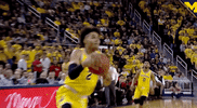 GIF by Michigan Athletics