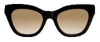 Try On Dan Levy Sticker by DL Eyewear