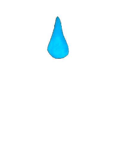 Carnet Drop Water Sticker