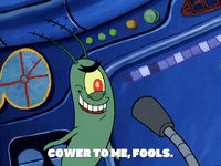 season 5 GIF by SpongeBob SquarePants