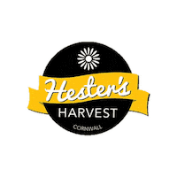 Trevozah honey harvest devon cornwall Sticker