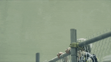 Fire Hyyh GIF by BTS