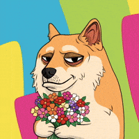 Shiba Inu Dog GIF by Doge Pound