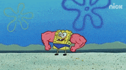 GIF by SpongeBob SquarePants