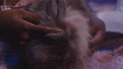 Softly GIF by Amber Mark