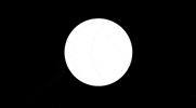 Distributed By GIF by Identity Music