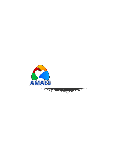 Amaesnamidia Sticker by Amaes