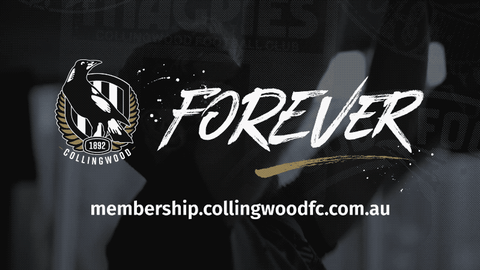 captain afl GIF by CollingwoodFC