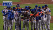 Mlb Nyc GIF by New York Mets