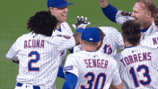 Celebrate Walk Off GIF by New York Mets