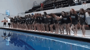 elevate university of houston GIF by Coogfans
