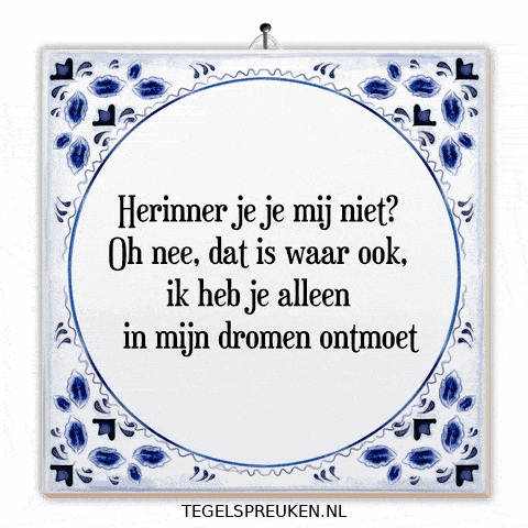 Humor Nl GIF by Tegelspreuken.nl