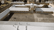 Challenge GIF by The Traitors Australia