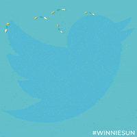 GIF by Winnie Sun