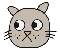 Awkward Cat GIF by Thank You Coffee