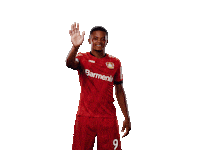 Bayer 04 Hello Sticker by Bayer 04 Leverkusen