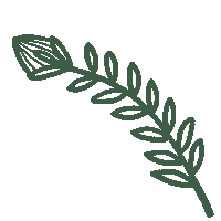 sowingground green arrow point garden Sticker