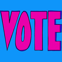 Election 2020 Vote GIF