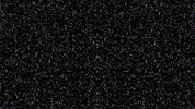 surveillance glitch aesthetic GIF by Nico Roxe