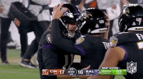 Baltimore Ravens Football GIF by NFL