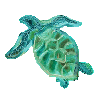 eaopc turtle eaopc yung tortuga Sticker