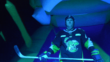 Hawkins GIF by Toledo Walleye