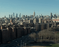 New York Nyc GIF by French Montana