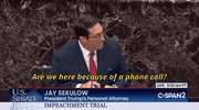 news senate impeachment trial impeachment trial jay sekulow GIF