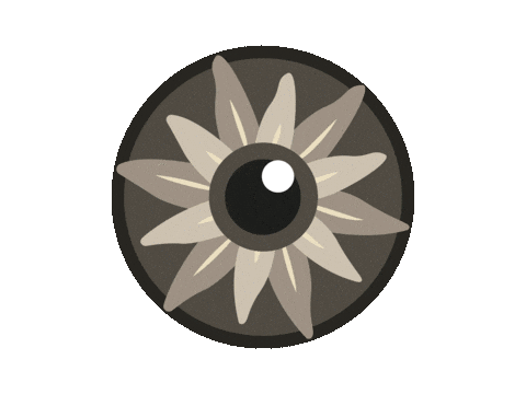 IrisFotoSchweiz giphyupload photography eye spinning Sticker