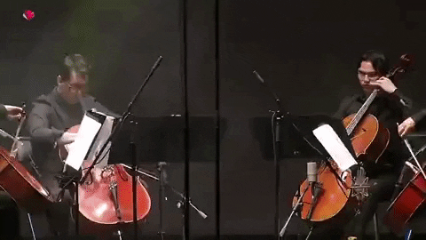 FIVLeon_MX giphygifmaker violoncello quartet music quartet cuarteto piatti GIF