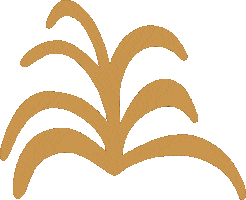 sierrafrostad art nature plant plants Sticker