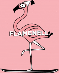 Flamenell snow mountains flamingo snowboarding GIF