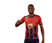 molfehervarfcgif vidi szekesfehervar nego fehervar Sticker