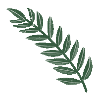 Plant Sticker