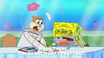 season 9 GIF by SpongeBob SquarePants