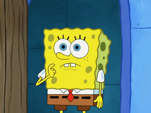 season 8 GIF by SpongeBob SquarePants