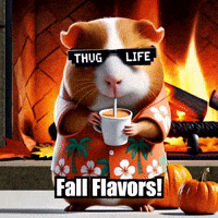 Guinea Pig Autumn GIF by Guinea Gambino