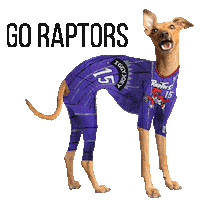 Basketball Nba Sticker