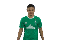 Come On Football Sticker by SV Werder Bremen