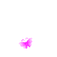 Butterfly Sticker