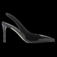 Scarosso brianatwoodxscarosso brian atwood x scarosso GIF